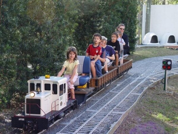 Family riding behind a white diesel locomotive past a block signal