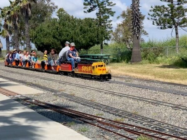 Engineer driving an orange miniature diesel train